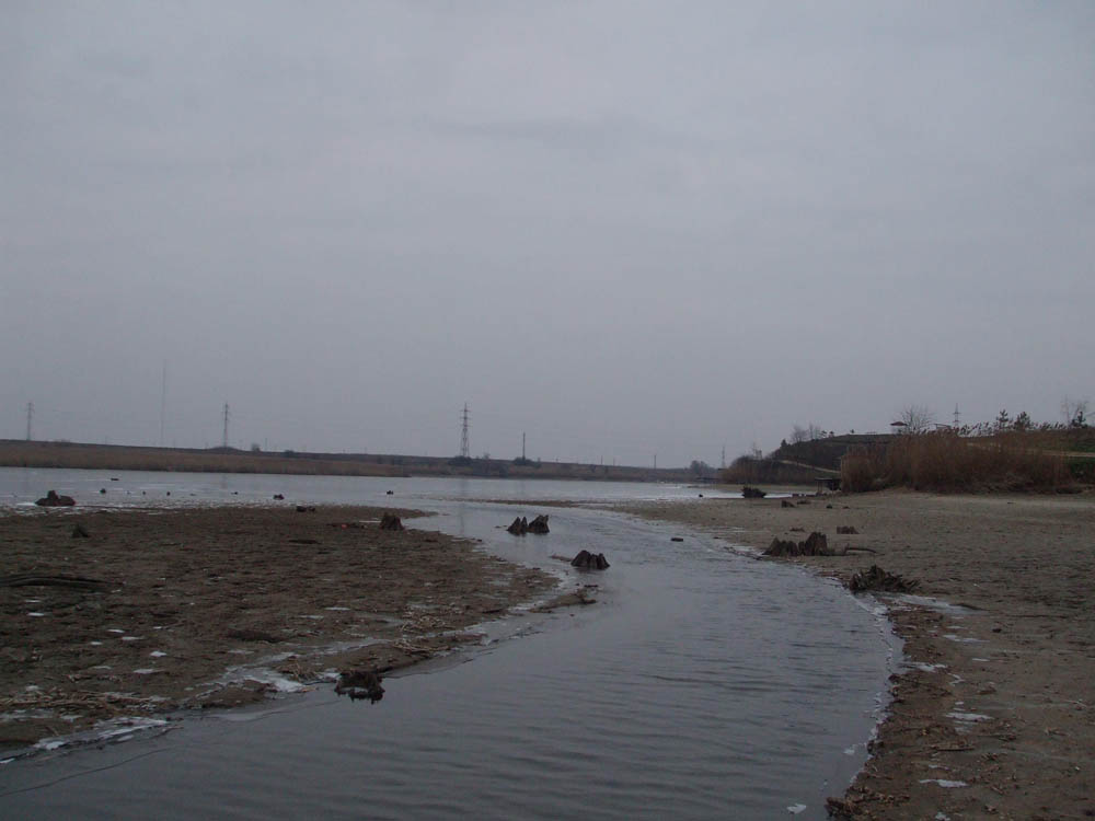 TANCABESTI SECAT - DSCF3474.jpg